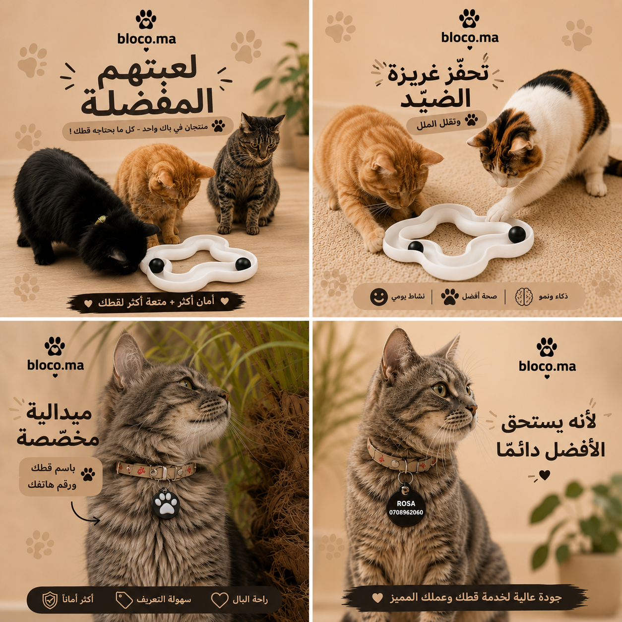 العرض الأسـاسي لمحبي القطط