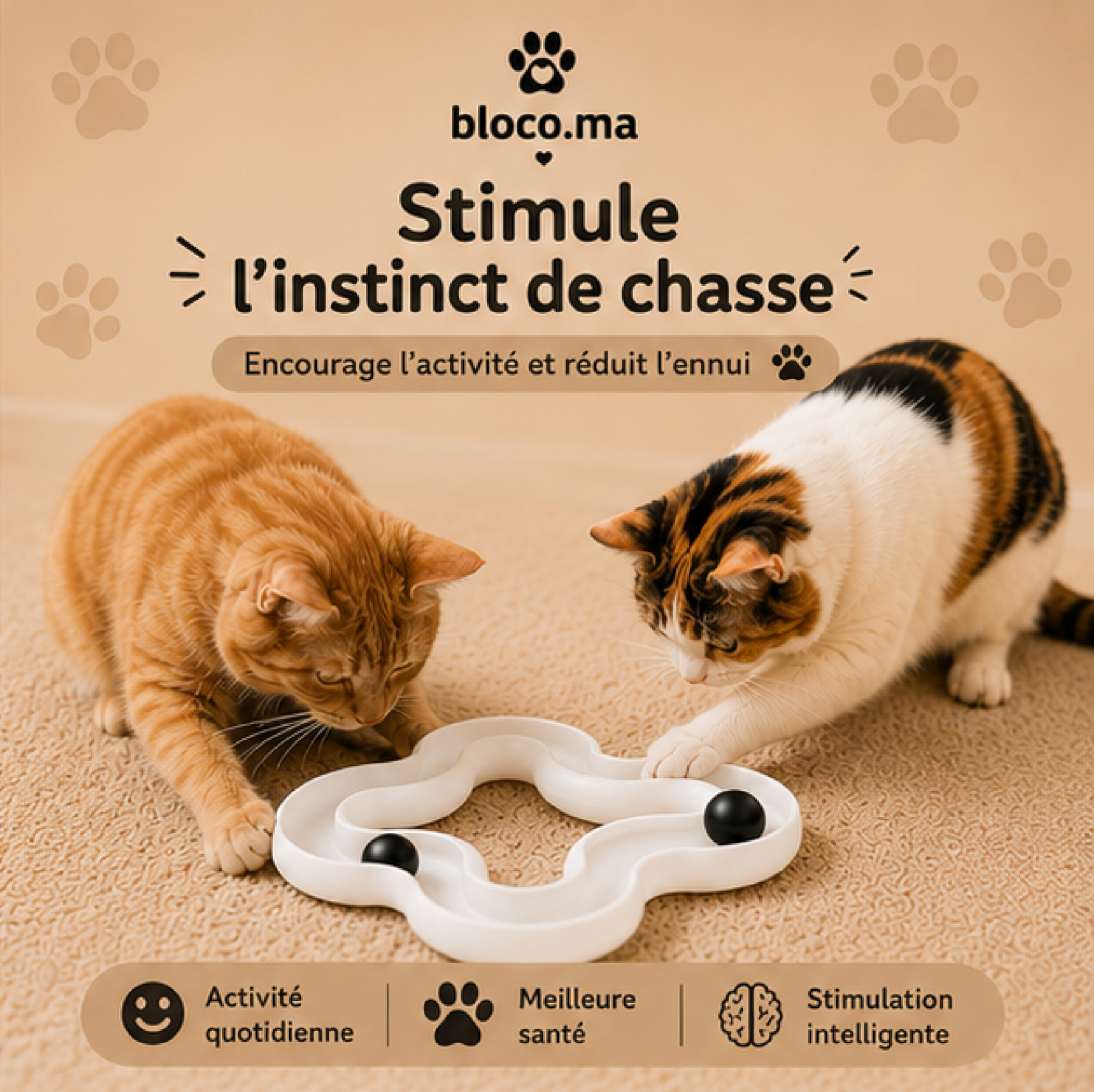 Le Pack Essentiel